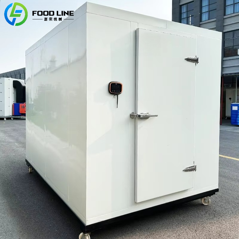 Niestandardowy pojemnik do prz – Food Storage Refrigerator recenzja i cena