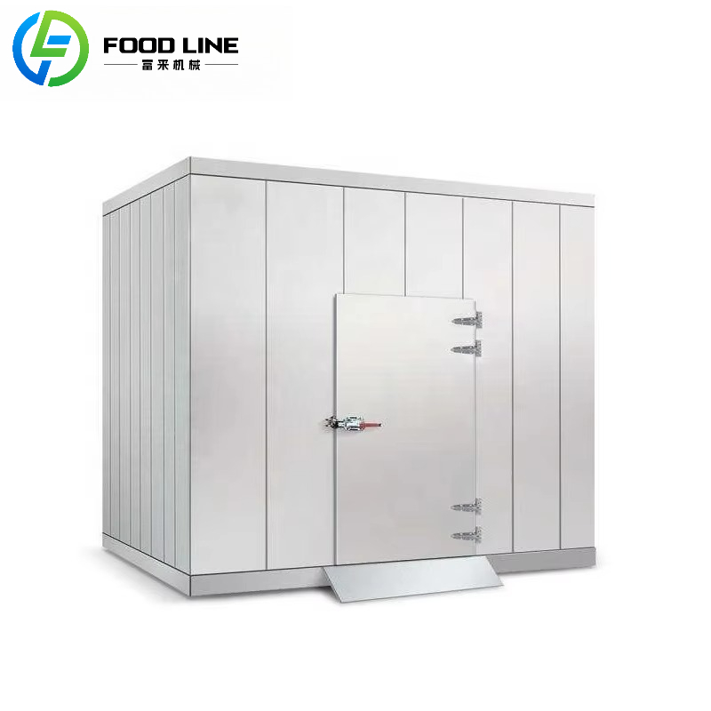 Niestandardowy pojemnik do prz – Food Storage Refrigerator recenzja i cena